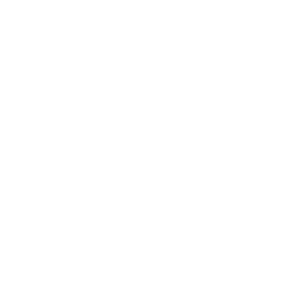 github link
